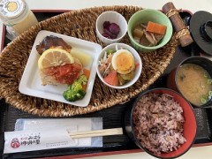 さあ心のままに365日