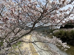 希望の丘遥か彼方