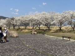 地球をどれだけ回ったって