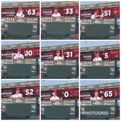 胸張ってさあ叫ぶんだ