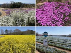 デリシャスな1日にしよう