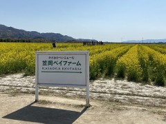 どこから眺めていたって