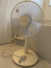 神が寝ろと言っている4月末