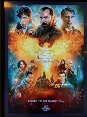 麒麟ってえらいカワイイじゃん