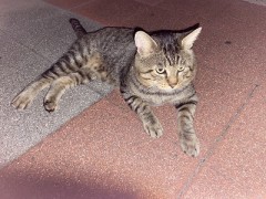 陰キャも陽キャも卑屈な妄想