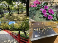 マイナスイオンが放たれます