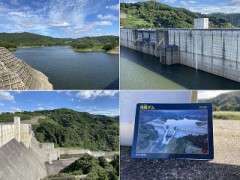 毎年3月の第1日曜日が狙い目らしい