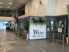 どうか嵐も楽しんで