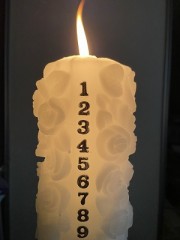 ふざけた生活はつづくさ