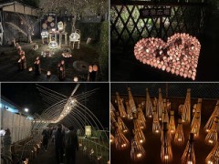 名前もないこの道で