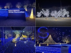 慣れないこともたまになら