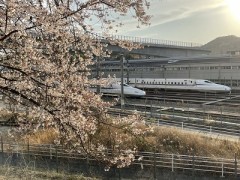 誰のための道しるべなんだった