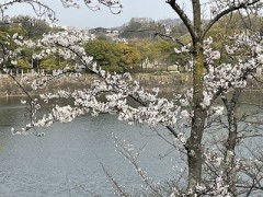 今日を感じたい今日にしがみつき