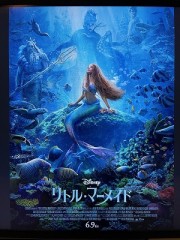 なんてたくさんの宝物