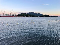 波にきらめく送り火が