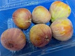 花は咲かない偉大な果実