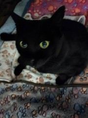 誰が消えても星は廻る