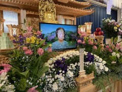 夜空の星がさす方へ