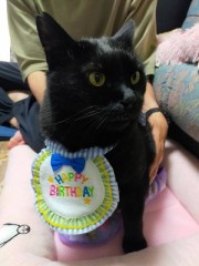 未来は明るく騒がしい