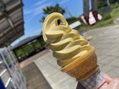 それでも手を合わせました