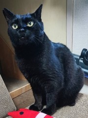 寄り合わせて紡ぐ未来