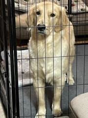 つけっぱなしの待機画面