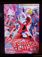 立ち止まってる場合じゃない