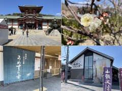 かける想いも紅だすき