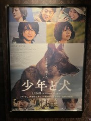 出逢った意味など探している