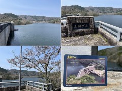 手軽な幸せ見つけて笑ってる