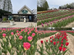 どんな素敵な絵より