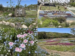 胸に咲く花言葉を歌った