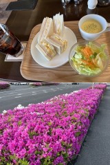 景色が回る光も揺れる