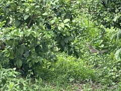 夢の狭間でくたびれてたんだ