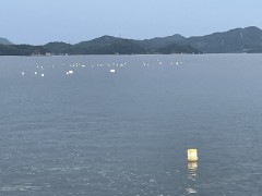 行く人送る人 想いをのせて