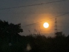 あの日の歌うたえば思い出す