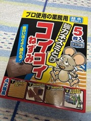 一切受け入れてしまおう