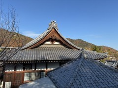 あれもこれもそれもどれも