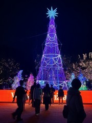 消えて欲しいような言葉だけ