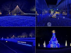 日が暮れてる年も暮れてる