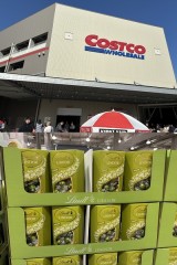 告白は青春振られても青春