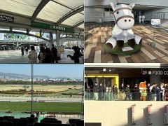 よこしまになぞらえていく