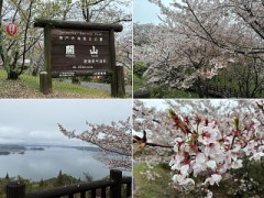 流れる雲の移り気よりも