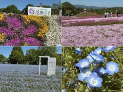過ぎた日々も見えぬ明日も