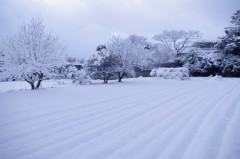 ２０１１年ですね