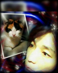 ペット好きですか？