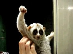 【お題日記】最近ガッツポーズした出来事