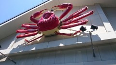 初めての生(*^-^*)