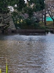 【お題日記】別れた相手からもらったもの、どうする？