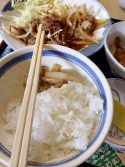 【お題日記】いつでも本音で話してる？